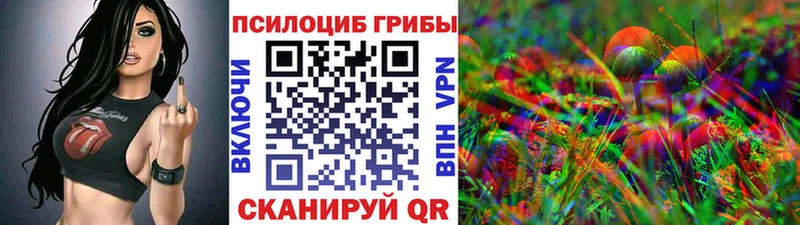 KRAKEN ССЫЛКА  Грязовец  Галлюциногенные грибы Psilocybine cubensis 